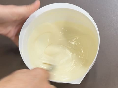 Entremets Albero di Natale con ribes rosso, ribes nero e vaniglia - 13