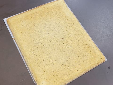 Entremets Albero di Natale con ribes rosso, ribes nero e vaniglia - 131