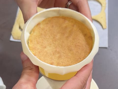 Entremets Albero di Natale con ribes rosso, ribes nero e vaniglia - 147