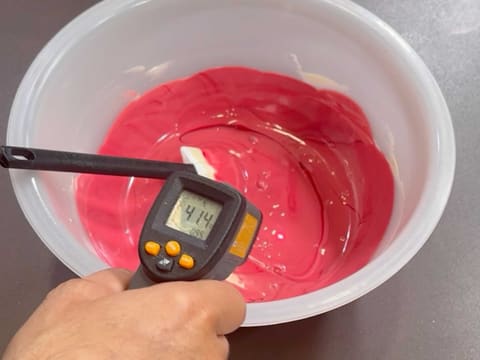 Entremets Albero di Natale con ribes rosso, ribes nero e vaniglia - 164