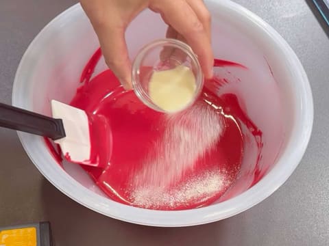 Entremets Albero di Natale con ribes rosso, ribes nero e vaniglia - 169