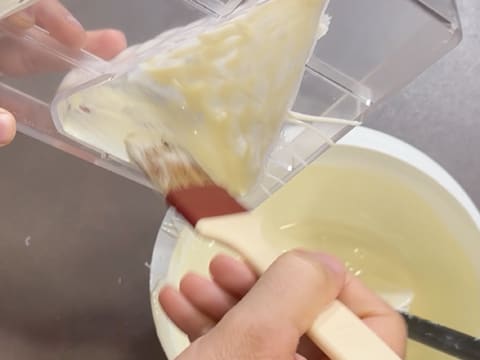 Entremets Albero di Natale con ribes rosso, ribes nero e vaniglia - 17