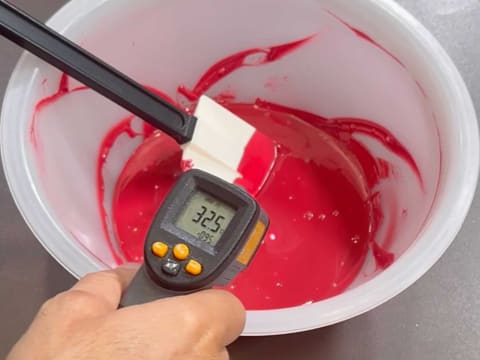 Entremets Albero di Natale con ribes rosso, ribes nero e vaniglia - 171