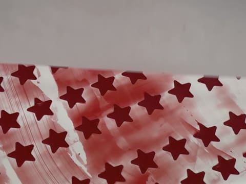 Entremets Albero di Natale con ribes rosso, ribes nero e vaniglia - 181