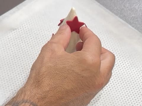 Entremets Albero di Natale con ribes rosso, ribes nero e vaniglia - 193