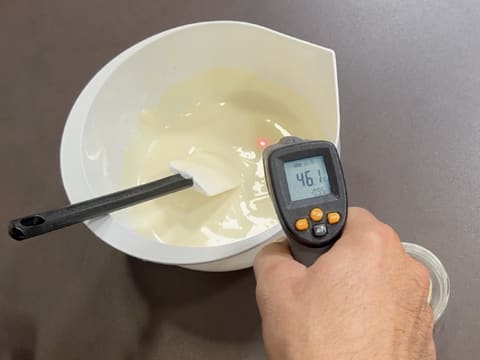 Entremets Albero di Natale con ribes rosso, ribes nero e vaniglia - 4