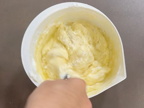 Entremets Albero di Natale con ribes rosso, ribes nero e vaniglia - 40