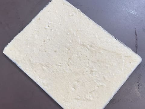 Entremets Albero di Natale con ribes rosso, ribes nero e vaniglia - 45