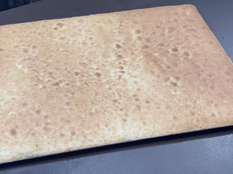 Entremets Albero di Natale con ribes rosso, ribes nero e vaniglia - 48