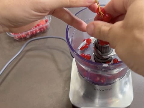 Entremets Albero di Natale con ribes rosso, ribes nero e vaniglia - 49