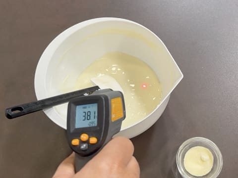 Entremets Albero di Natale con ribes rosso, ribes nero e vaniglia - 6