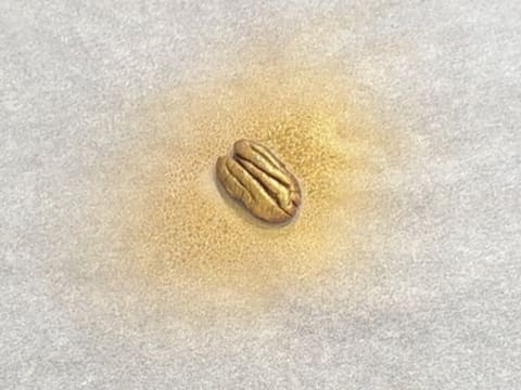 Entremets al cioccolato fondente e pralinato alla vaniglia e noci pecan - 185