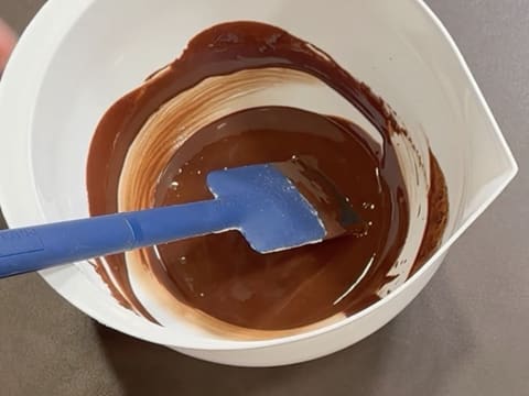 Entremets al cioccolato fondente e pralinato alla vaniglia e noci pecan - 63