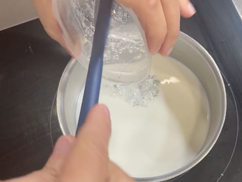 Entremets ai mirtilli, cioccolato e vaniglia - 109