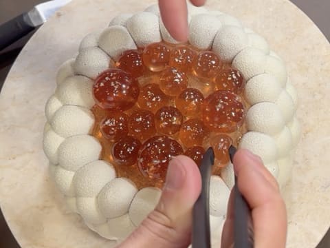 Entremets ai mirtilli, cioccolato e vaniglia - 172