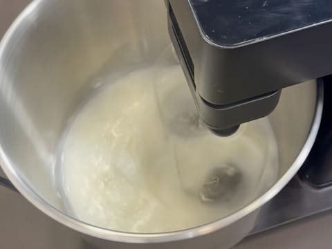 Entremets ai mirtilli, cioccolato e vaniglia - 46