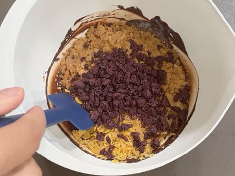 Entremets ai mirtilli, cioccolato e vaniglia - 75