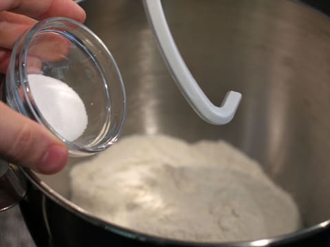 Chaussons aux pommes (Fagottini di mele) - 2