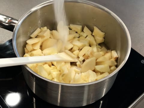 Chaussons aux pommes (Fagottini di mele) - 45