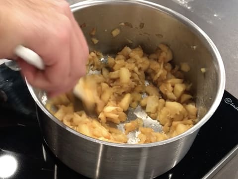 Chaussons aux pommes (Fagottini di mele) - 47