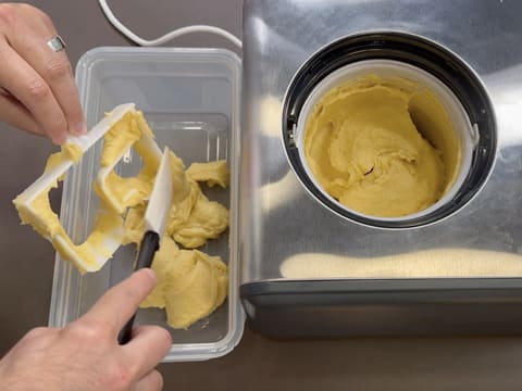 Ghiaccioli al limone, lampone e mango - 11