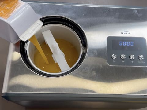 Ghiaccioli al limone, lampone e mango - 9