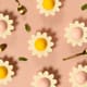Mini entremets al limone e fragola