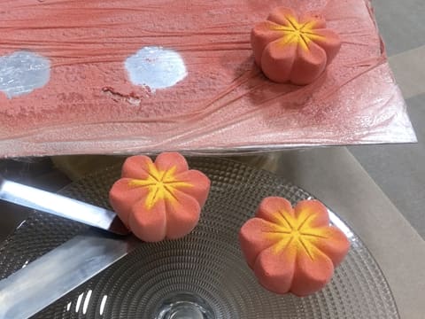 Mini entremets al rabarbaro, litchi e tè matcha - 105