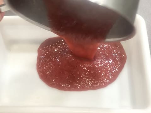 Mini entremets al rabarbaro, litchi e tè matcha - 53