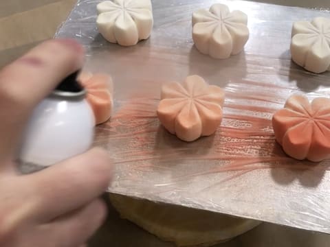 Mini entremets al rabarbaro, litchi e tè matcha - 98