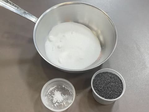 Tronchetto di Natale all'Ananas, Cocco e Pralinato al Sesamo Nero - 1