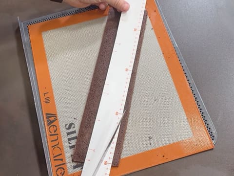 Tronchetto di Natale all'Ananas, Cocco e Pralinato al Sesamo Nero - 103