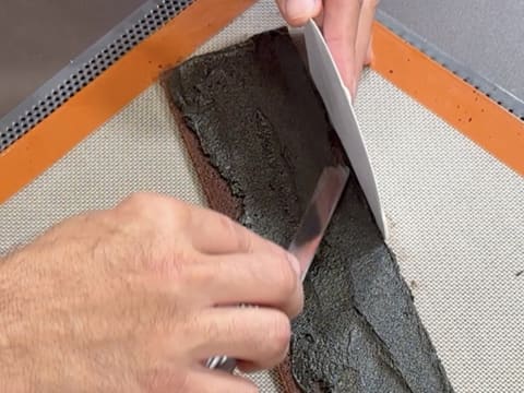 Tronchetto di Natale all'Ananas, Cocco e Pralinato al Sesamo Nero - 107