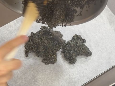 Tronchetto di Natale all'Ananas, Cocco e Pralinato al Sesamo Nero - 11