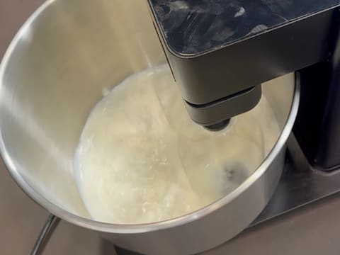 Tronchetto di Natale all'Ananas, Cocco e Pralinato al Sesamo Nero - 110