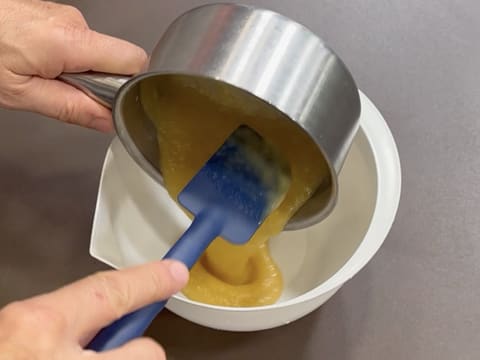 Tronchetto di Natale all'Ananas, Cocco e Pralinato al Sesamo Nero - 112