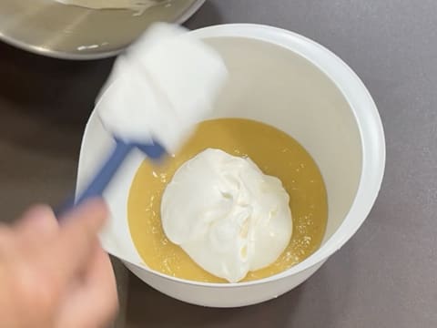 Tronchetto di Natale all'Ananas, Cocco e Pralinato al Sesamo Nero - 113