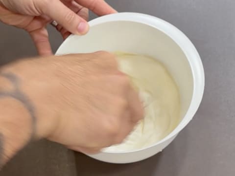 Tronchetto di Natale all'Ananas, Cocco e Pralinato al Sesamo Nero - 114