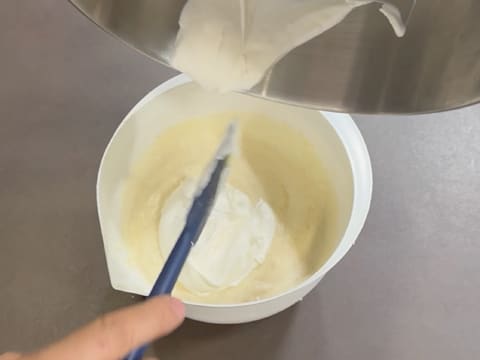 Tronchetto di Natale all'Ananas, Cocco e Pralinato al Sesamo Nero - 116