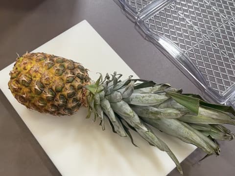 Tronchetto di Natale all'Ananas, Cocco e Pralinato al Sesamo Nero - 141
