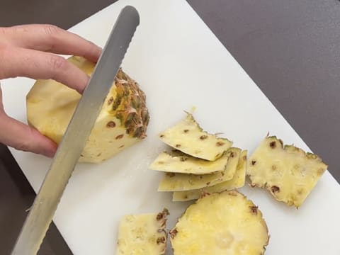 Tronchetto di Natale all'Ananas, Cocco e Pralinato al Sesamo Nero - 142