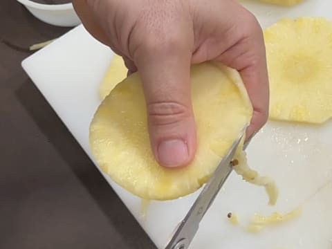 Tronchetto di Natale all'Ananas, Cocco e Pralinato al Sesamo Nero - 145