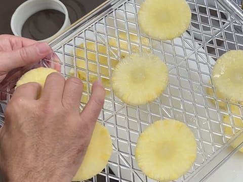 Tronchetto di Natale all'Ananas, Cocco e Pralinato al Sesamo Nero - 147