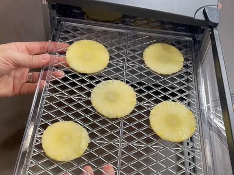 Tronchetto di Natale all'Ananas, Cocco e Pralinato al Sesamo Nero - 148