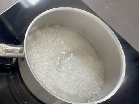 Tronchetto di Natale all'Ananas, Cocco e Pralinato al Sesamo Nero - 156