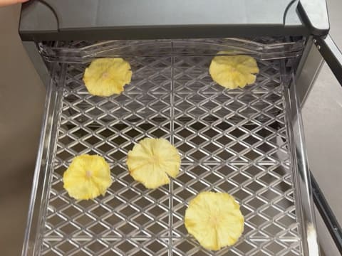 Tronchetto di Natale all'Ananas, Cocco e Pralinato al Sesamo Nero - 161