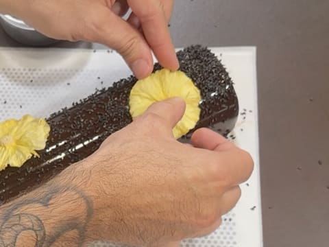 Tronchetto di Natale all'Ananas, Cocco e Pralinato al Sesamo Nero - 179