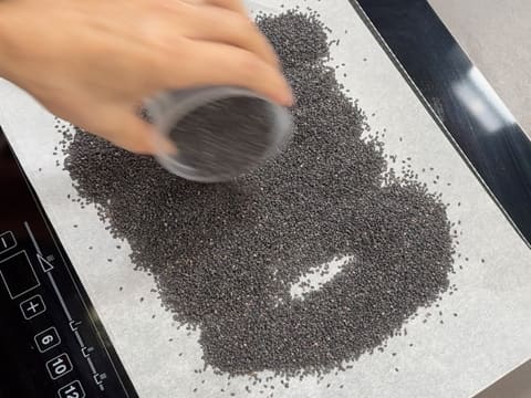 Tronchetto di Natale all'Ananas, Cocco e Pralinato al Sesamo Nero - 2