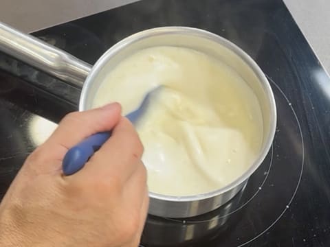 Tronchetto di Natale all'Ananas, Cocco e Pralinato al Sesamo Nero - 44