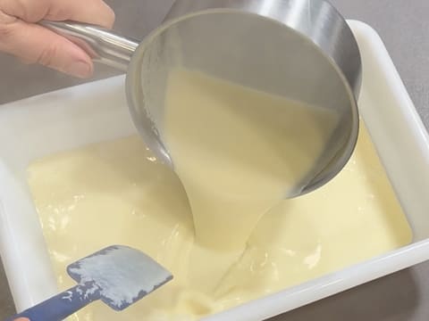 Tronchetto di Natale all'Ananas, Cocco e Pralinato al Sesamo Nero - 47